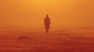 Such a breathtaking shot. Absolutely breathtaking.